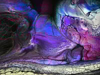 Image 3 of NebuLa SkiNs 10x15"