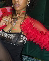 Image 4 of SANTANA, in red