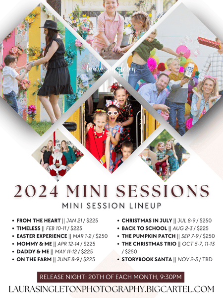 Image of 2024 Mini Session Special