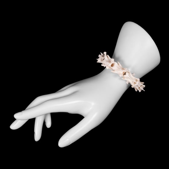 Image of "Riza" Cat Vertebrae Bracelet