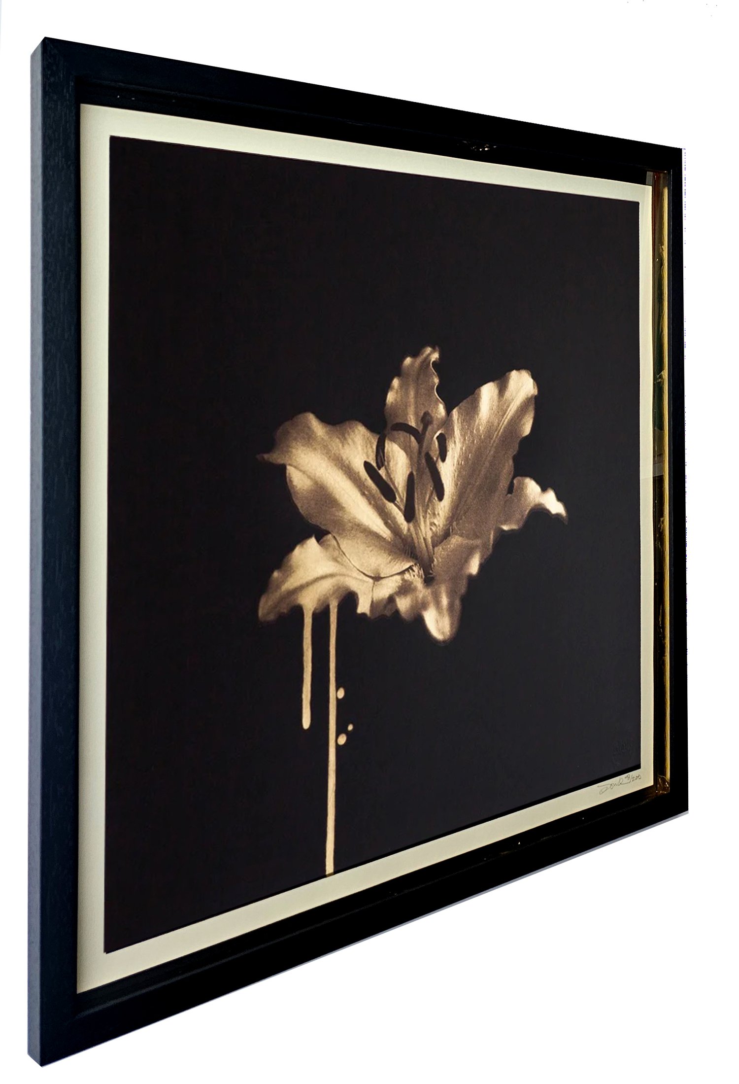 Image of 'Gilded Lily' by Donk