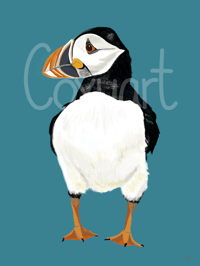 Image 1 of A4 Puffin print