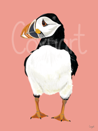 Image 2 of A4 Puffin print