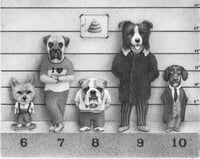 "The Usual suspects."