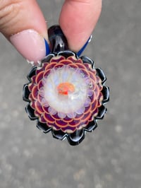 Image 2 of Primrose 