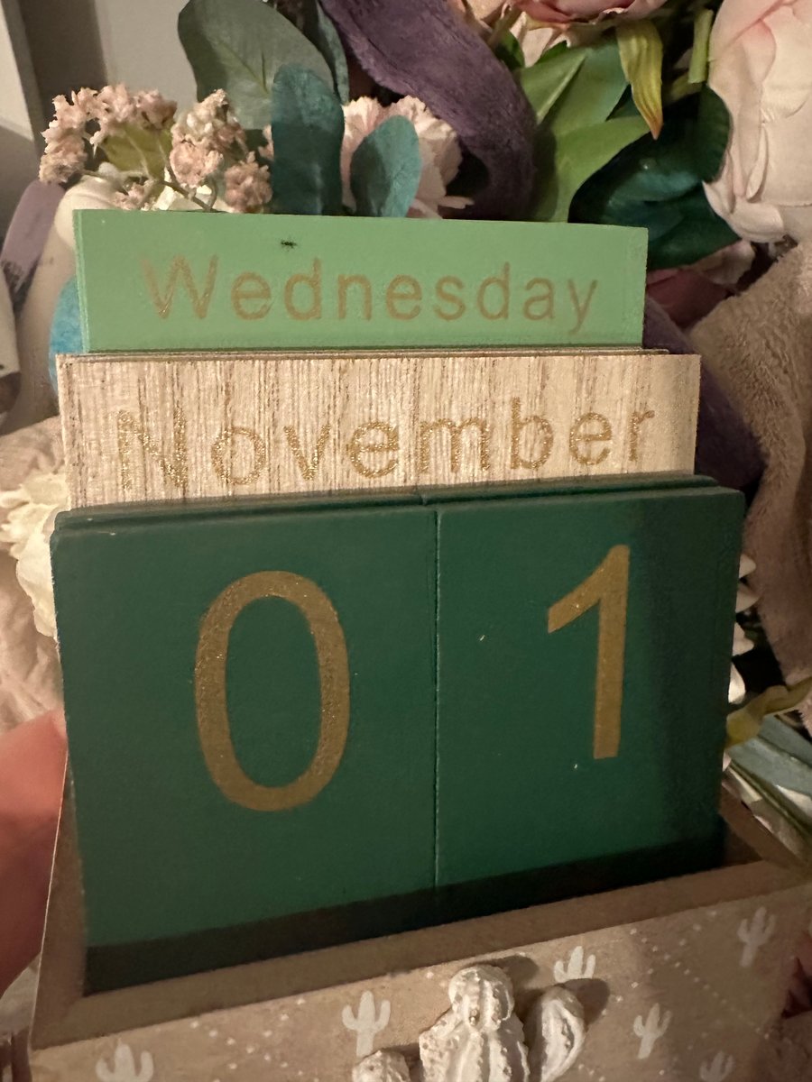 Image of Cactus Calendar 