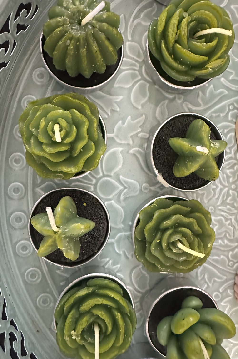 Image of Succulent tea light candles 