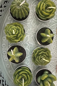 Image 1 of Succulent tea light candles 