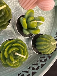 Image 2 of Succulent tea light candles 