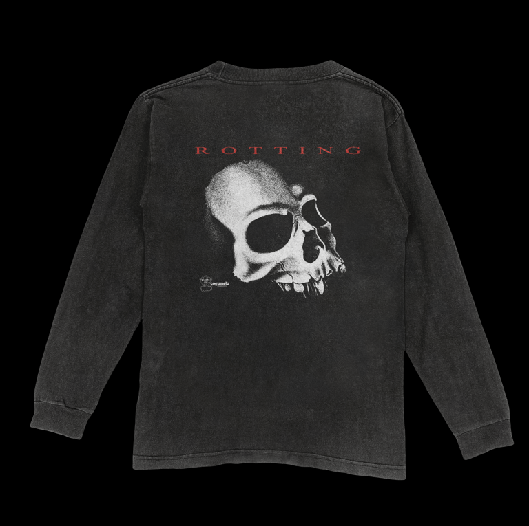 ROTTING LONG SLEEVE LEFTOVERS Image 4