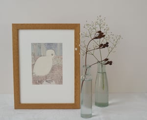 Pale Coot - High Quality Giclee print.