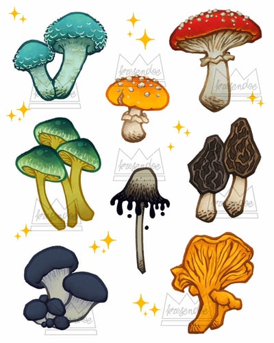 Image of Mushrooms sticker sheet