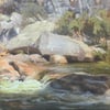 Glenbrook Creek, after the rains