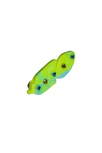 Image 1 of Fluo Sun Feather 🪶☀️