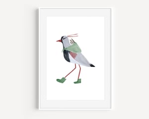 Image of SOUTHERN LAPWING