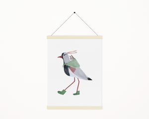 Image of SOUTHERN LAPWING