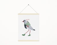 Image 2 of SOUTHERN LAPWING