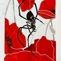 Image 3 of ORIGINAL Spider - October 2023