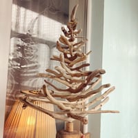 Image 1 of Driftwood curly Christmas tree