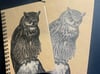 Eagle Owl Journals