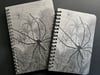 Spider Journals