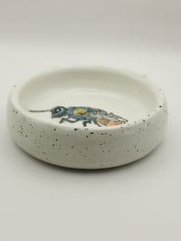 Image of Cuckoo wasp bowl
