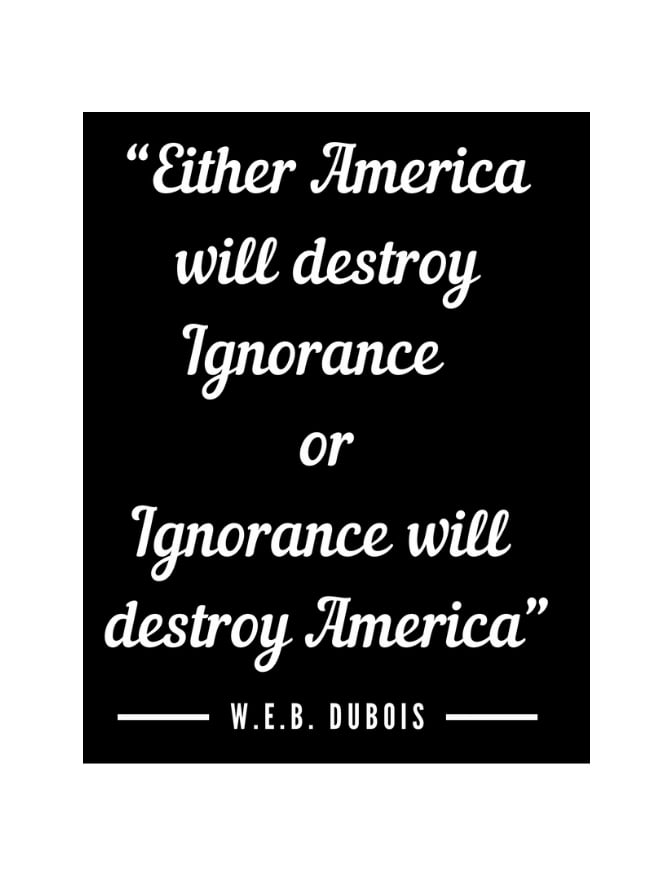 Image of AMERICA AMERICA W.E.B DUBOIS QUOTE DESIGN