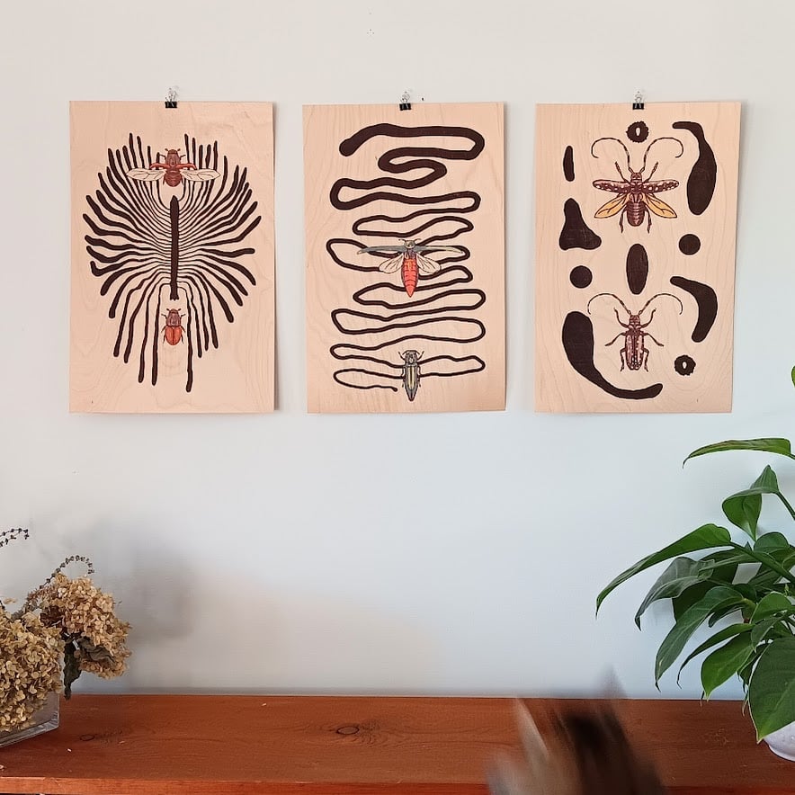 Image of Boring Beetles - Print Set