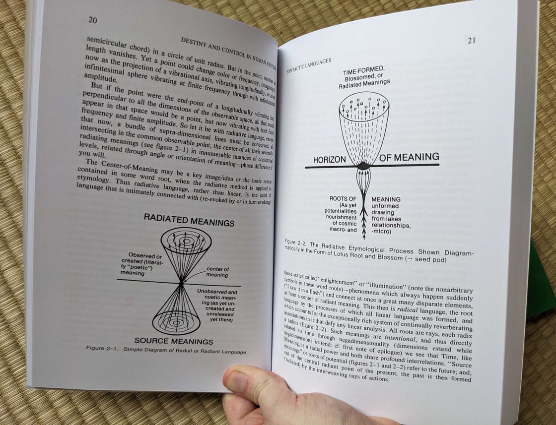 Image of Destiny and Control in Human Systems by Charles Musès