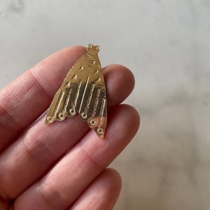 Image of moth pin iii