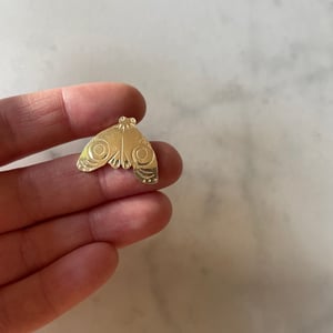 Image of moth pin v