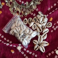 Image 2 of Cowrie Shells for Trim or Jewellery (TC010)