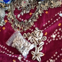 Image 1 of Cowrie Shells for Trim or Jewellery (TC010)