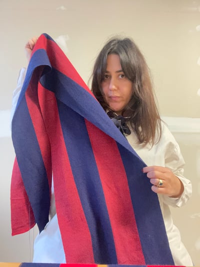 Image of Handwoven Scarf in Pasolini Stripes