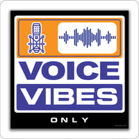 Image of Voice Vibes