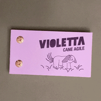 Image 3 of Violetta, cane agile