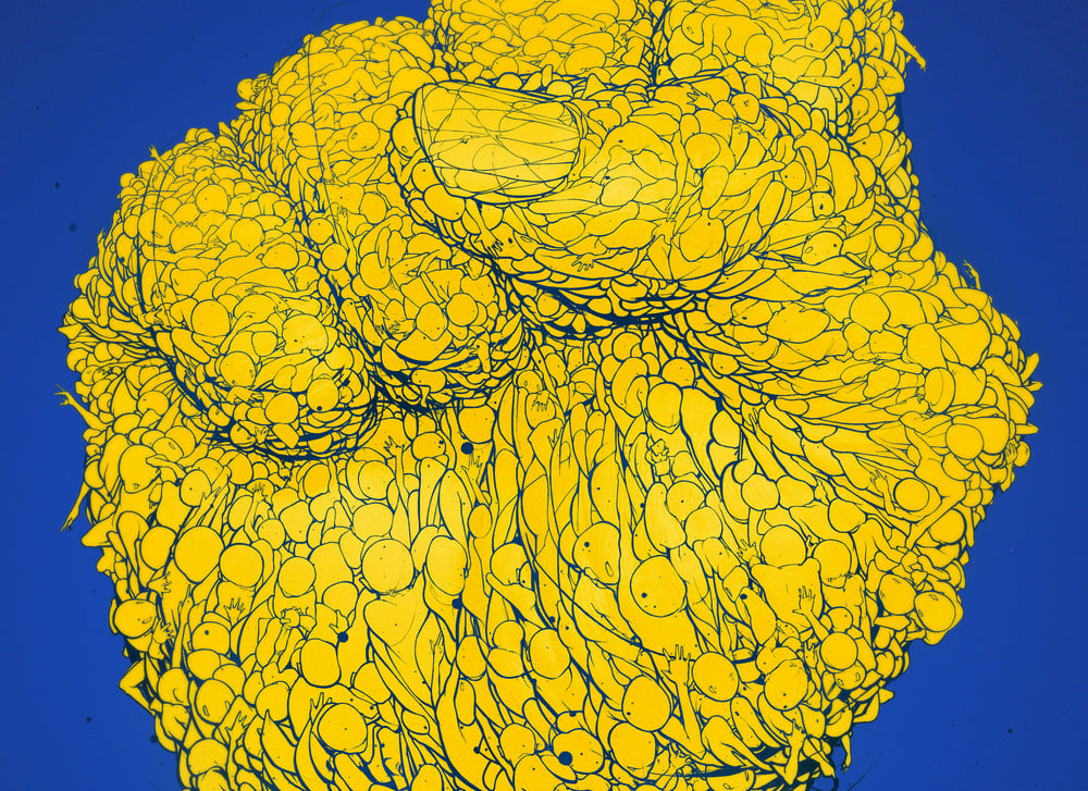 Image of UKRAINA . A1 (Large) Print