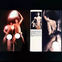 Image 2 of Jean Daniel Cadinot 'Masculin Silver God'