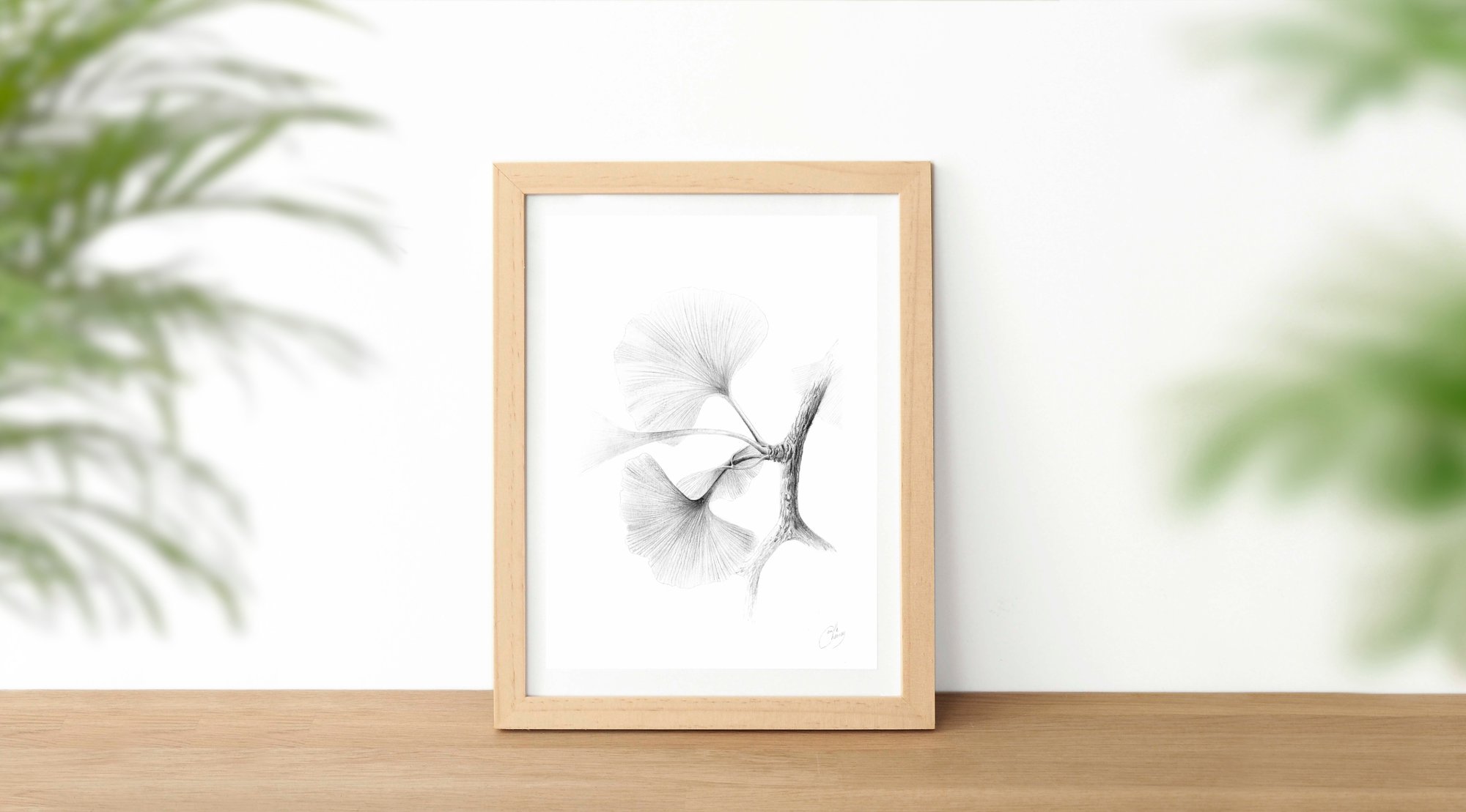 Image of Gingko 