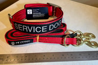 Image 4 of 1.5” XHD Nylon S&R/SVC DOG/EDC collars