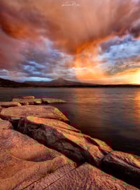 Golden Curtain 
