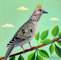 Royal Mourning Dove