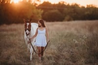 Equine Flash Sale  