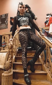 Image 1 of Size S/M studded leopard pants