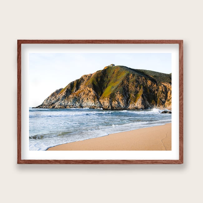 Gray Whale Beach, CA