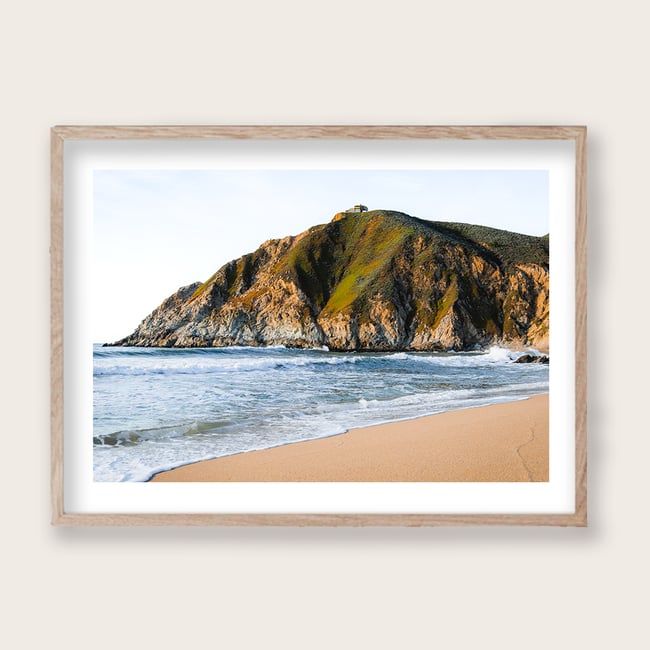 Gray Whale Beach, CA