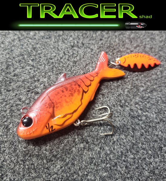 Image of Tracer Shad
