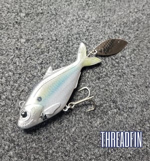 Image of Tracer Shad