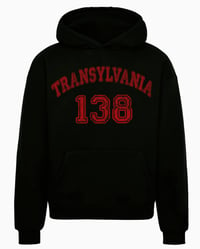 Image 2 of TRANSYLVANIA 138 - HOODIE 