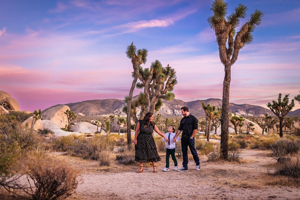 Image of Joshua Tree ADVENTURE Session - AUTUMN (2024) - $1500